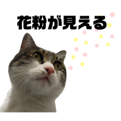 [LINEスタンプ] 若ちゃん3