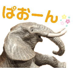 [LINEスタンプ] アフリカゾウのぱおべる