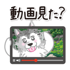 [LINEスタンプ] ぎんちゃんスタンプ31