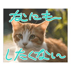 [LINEスタンプ] 可愛い子猫のスタンプだよ！⑩の画像（メイン）