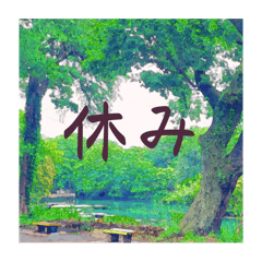 [LINEスタンプ] 木のある景色