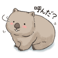 [LINEスタンプ] ずんぐりウォンバットちゃん