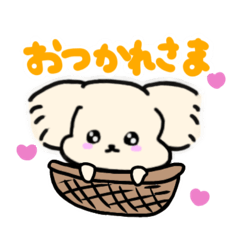 [LINEスタンプ] 癒しのわんこ、きゅるりん。