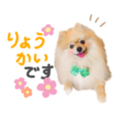 [LINEスタンプ] 敬語多めのポメラニアン