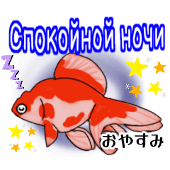 [LINEスタンプ] 可愛い金魚たち(ロシア語と日本語)