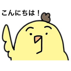 [LINEスタンプ] インコかーさん。ときどきおとーさん