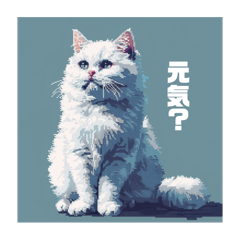 [LINEスタンプ] 表情豊かな白猫ちゃんの画像（メイン）