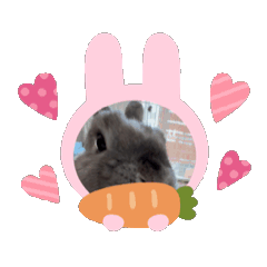 [LINEスタンプ] うさぎのきなこ 2