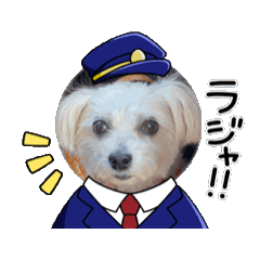 [LINEスタンプ] イブちゃんの動くスタンプ