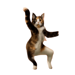 [LINEスタンプ] 動く！踊る猫ミーム！(パート3)の画像（メイン）