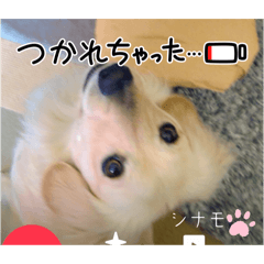 [LINEスタンプ] シナモ11