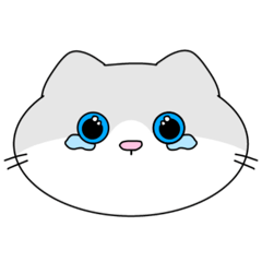 [LINEスタンプ] ねこ好きですよね？