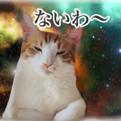 [LINEスタンプ] 宇宙のはちさく