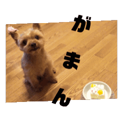 [LINEスタンプ] みんとくんの、動く！つぶやき