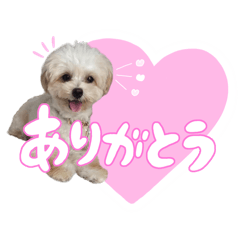 [LINEスタンプ] こぼくんスタンプ