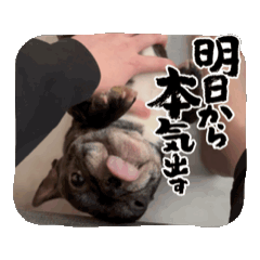 [LINEスタンプ] うごくbubble