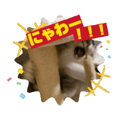 [LINEスタンプ] 猫と小鳥と何かのスタンプ