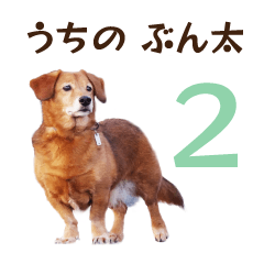 [LINEスタンプ] うちの ぶん太 2