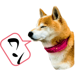 [LINEスタンプ] 柴犬ハルver4