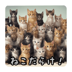 [LINEスタンプ] 可愛い子猫のスタンプです！④の画像（メイン）