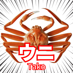 [LINEスタンプ] カニ (ウニ Tako)