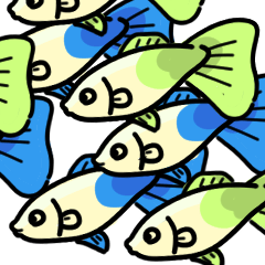 [LINEスタンプ] 熱帯魚たちのスタンプ