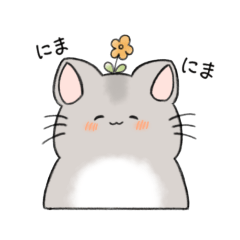 [LINEスタンプ] チンチラいろいろセット