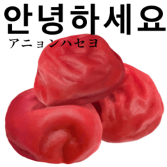 [LINEスタンプ] 梅干し です しそ漬け 韓国語