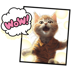 [LINEスタンプ] 可愛い子猫のスタンプです！⑤の画像（メイン）