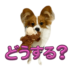 [LINEスタンプ] ダウのスタンプ