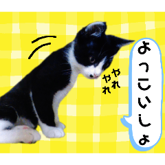 [LINEスタンプ] ガブリエルその30