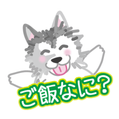 [LINEスタンプ] ぎんちゃんスタンプ33