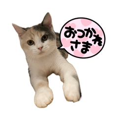[LINEスタンプ] りんです。1