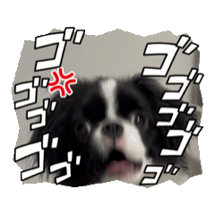 [LINEスタンプ] おいぬさま狆の鞍馬❤️動くVer