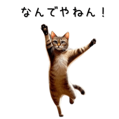 [LINEスタンプ] 関西弁猫ミームスタンプ