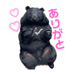 [LINEスタンプ] クマ牧場のくま