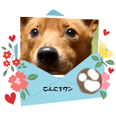 [LINEスタンプ] りゅうの 日常003の画像（メイン）