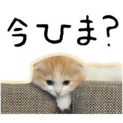 [LINEスタンプ] ⭐︎モナっちといっしょ2⭐︎