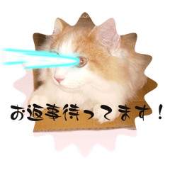 [LINEスタンプ] 猫のムーたんダヨ2