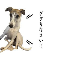 [LINEスタンプ] 愛しのウィ子 日常会話 春編