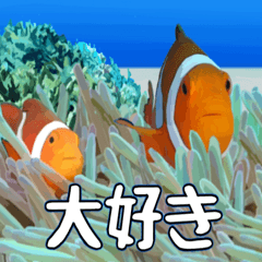 [LINEスタンプ] クマノミと海の仲間大好き。沖縄行きたい11