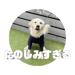 [LINEスタンプ] 動くフロスティ(1歳9ヶ月)