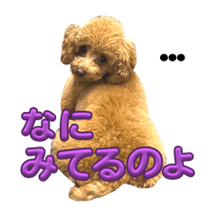 [LINEスタンプ] らぶらぶまるまる2