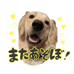 [LINEスタンプ] ゴールデン×ラブのリアン