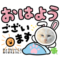 [LINEスタンプ] みんな仲良しアニマルスタンプ！